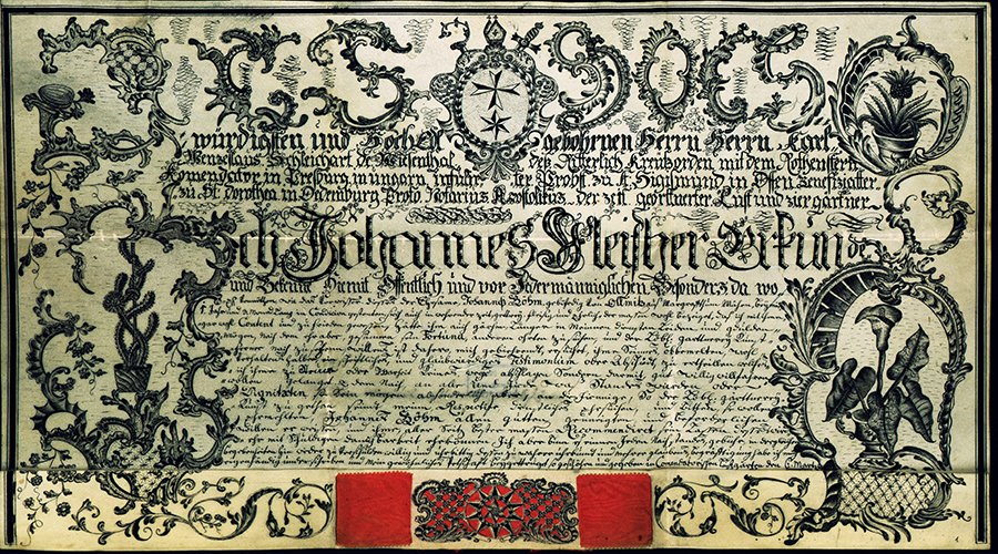The freedman's tag for János Böhm, gardener apprentice from Olmütz, issued by János Fleischer, ornamental gardener of Károly Vencel Schleichart (commandant of the Knights of the Cross with the Red Star in Pozsony).