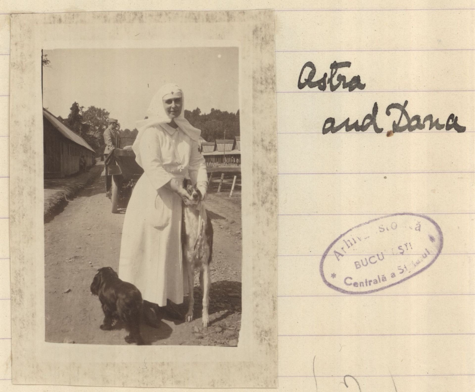 Queen Mary of Romania and her dogs, Astra (Barzoi breed, Queen’s favourite) and Dana, during the WWI when the Queen performed consistent acts of charity within Red Cross. BU-FD-00307-10-3-110_017
