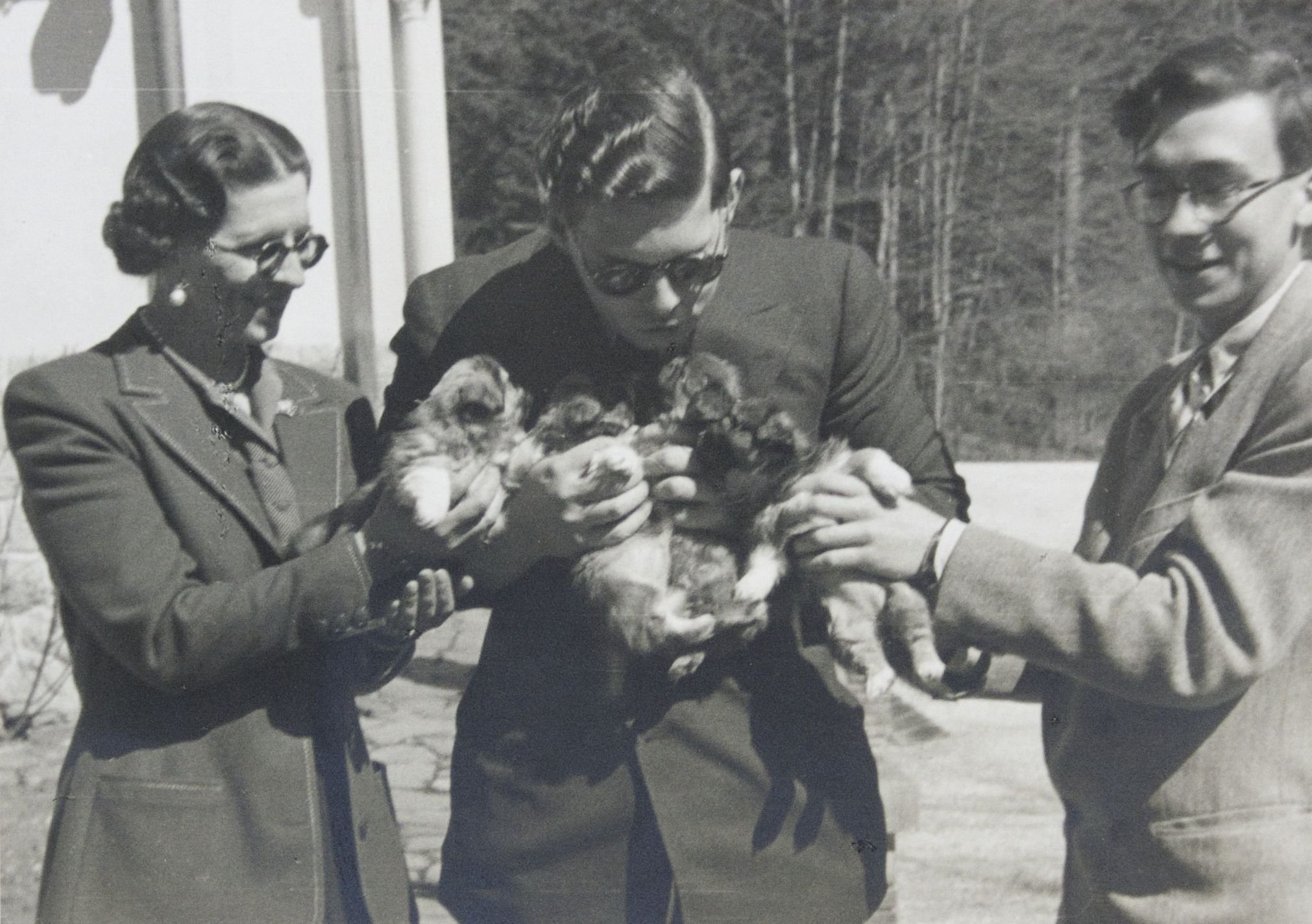 King Mihai of Romania and Mother-Queen Elena with puppies, at Sinaia (mountain Royal Residence). BU-FD-01073-6-226-365