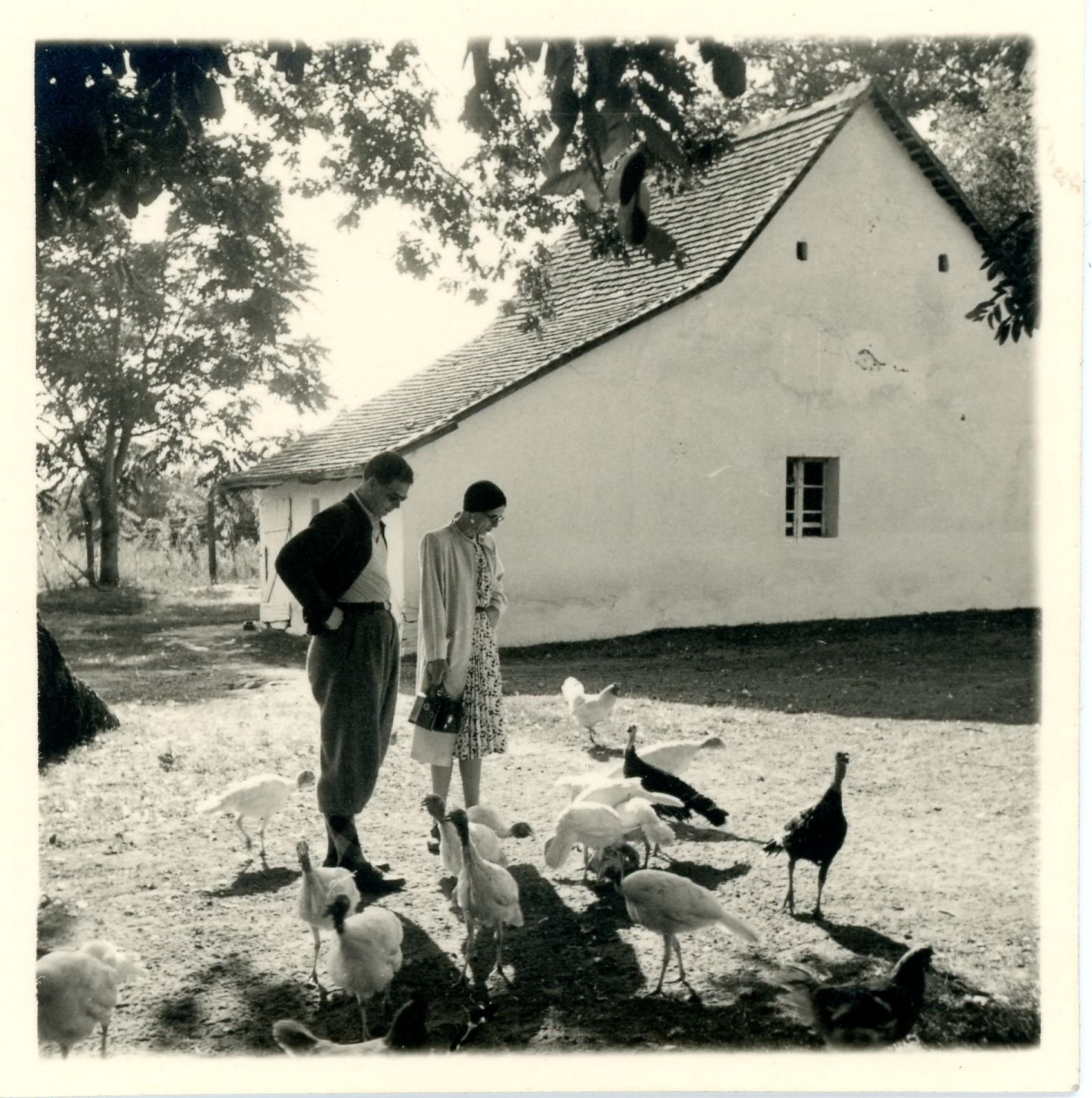 King Mihai of Romania and Mother-Queen Elena with ducks, visiting Balchik, the beloved Castle of Queen Mary. BU-FD-01073-6-226-225