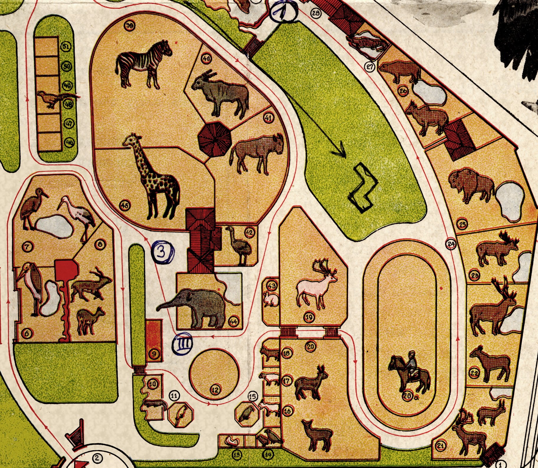 Detailed view of the part with designated areas for some of the first Zoo inhabitants: marabou, storks, gemsboks, zebras, buffalos, giraffes, elephants, otters and parrots, as well as a children's hippodrome.