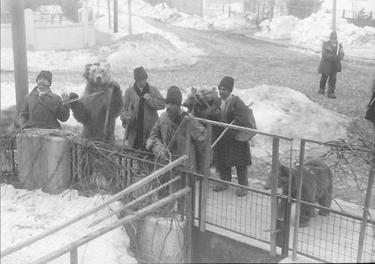  Landesarchiv Baden-Württemberg , Bucharest, Gypsies with bears (1942), avalaible here