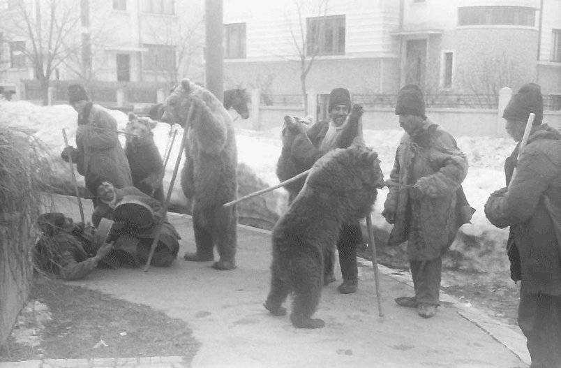   Landesarchiv Baden-Württemberg , Bucharest: Gypsies with bears (1942), avalaible here