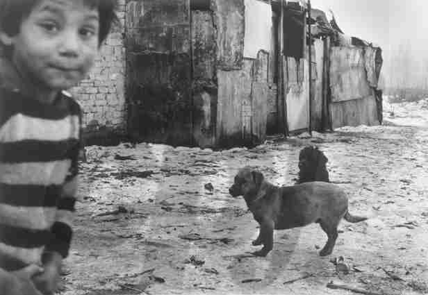 Centro Português de Fotografia , Rolf Bauerdick, Rapaz e dois cães em Velka Ida (attributed), Boy and two dogs in Velka Ida (1996), available here
