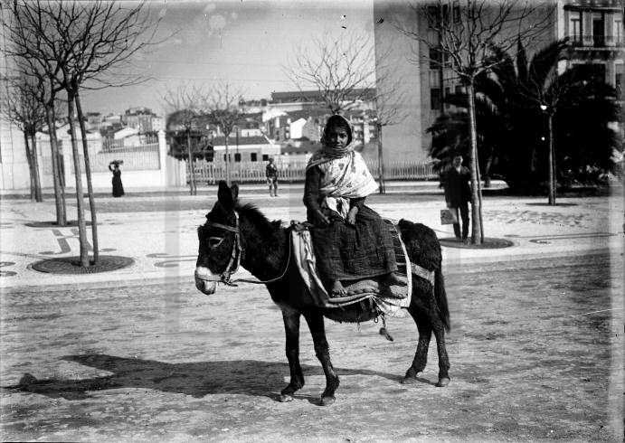 Arquivo Nacional da Torre do Tombo​,A donkey that will walk until death​ (1906, available here