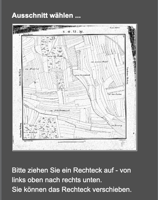 Landesarchiv Baden-Württemberg, Kartenblatt SO VI 39 Stand 1820 ca. , available here
