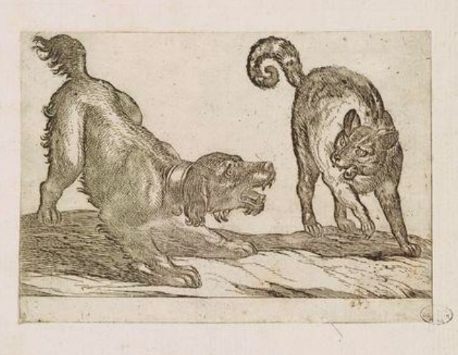 Muséum national d'Histoire naturelle , Chat et chien, Cat and dog (1835), available here
