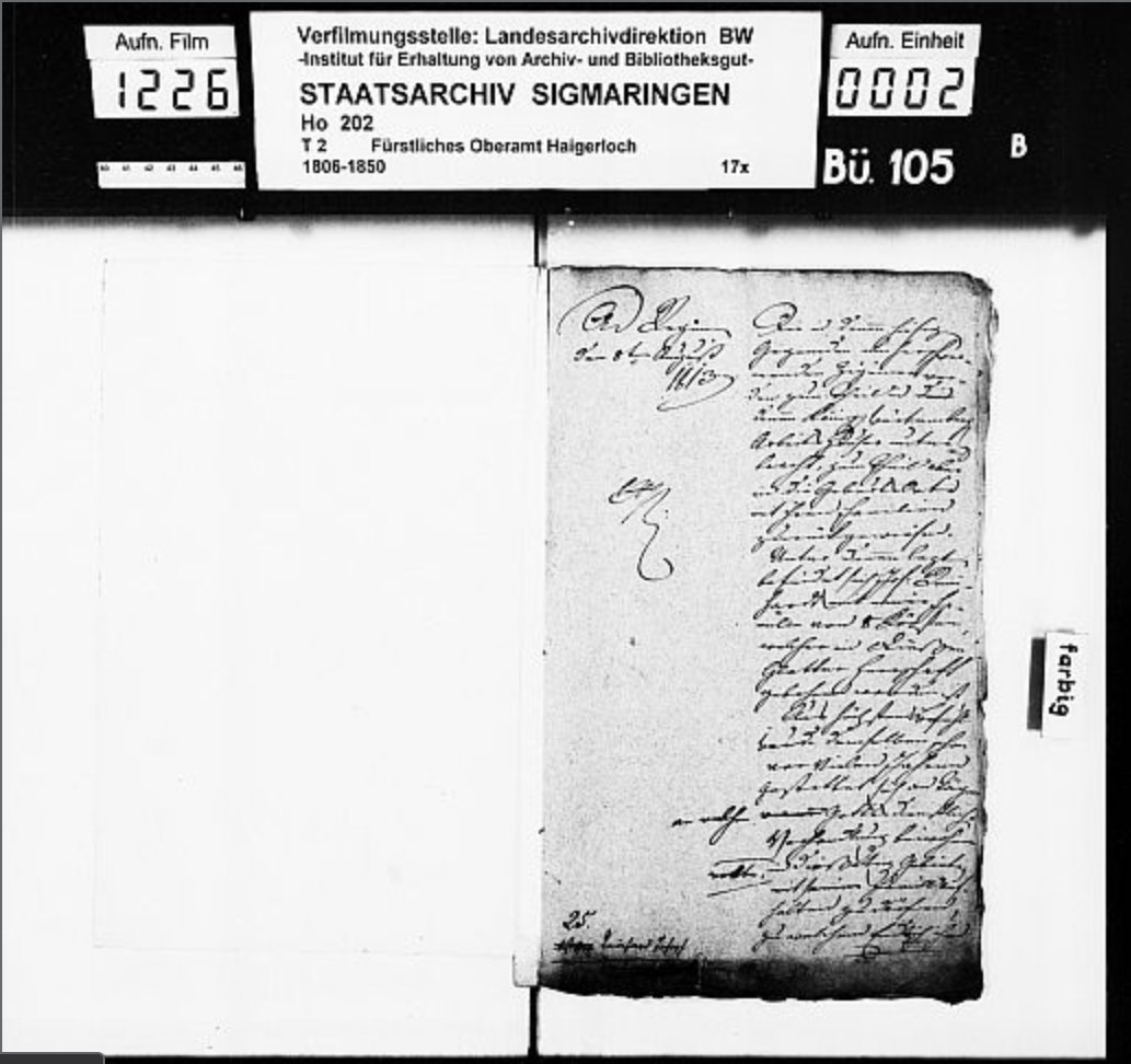 Landesarchiv Baden-Württemberg , A report on the living conditions of the Romani family of Anton Reinhart in Germany (1813), available here
